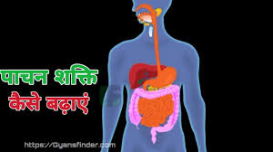 बादाम खाने के फायदे