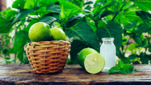 Mint : जानिए पुदीना के फायदे और नुकसान