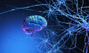 Brain: कैसे दर्दनाक घटनाएं हमारे दिमाग को शारीरिक रूप से बदल सकती हैं