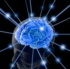 Brain: कैसे दर्दनाक घटनाएं हमारे दिमाग को शारीरिक रूप से बदल सकती हैं